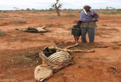 الصومال.. كنز العرب المفقود