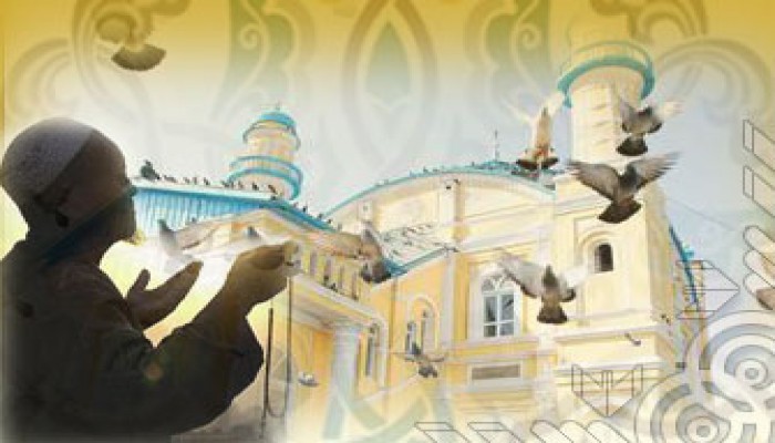 اقتران النعم بالشكر في القرآن.. حكم وأسرار