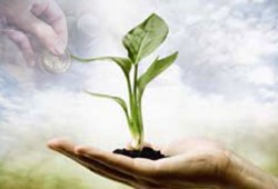 دور الأغنياء في مواساة الفقراء