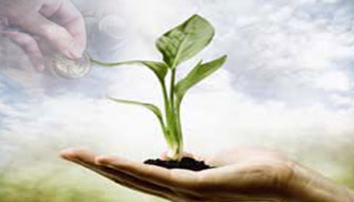 دور الأغنياء في مواساة الفقراء