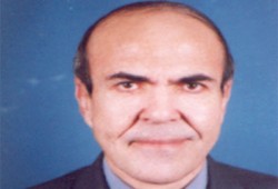 الديمقراطية من القاعدة للقمة والعكس غير صحيح