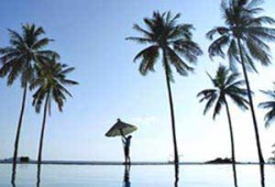 التخطيط الجيد للعطلة الصيفية الفريدة لعام 2011م