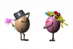 زواج سعيد تحت طبق البيض!!