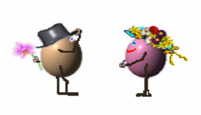 زواج سعيد تحت طبق البيض!!