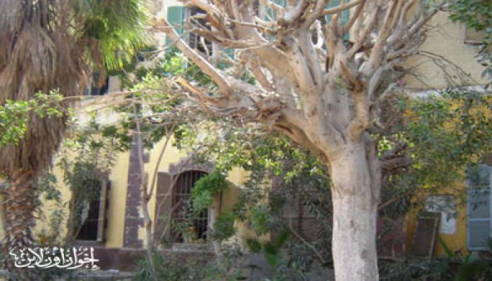 الخفافيش والغربان تحاصر قصر محمد علي بالسويس