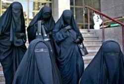 السماح لمنتقبات "القاهرة" بحضور الامتحانات