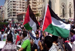 انتفاضة طلابية بالجامعات نصرة لفلسطين
