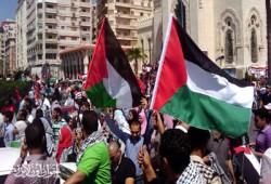 انتفاضة طلابية بالجامعات نصرة لفلسطين