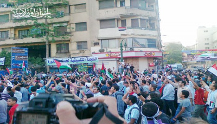 الجالية الفلسطينية تشارك في مليونية "الوحدة والمصالحة"