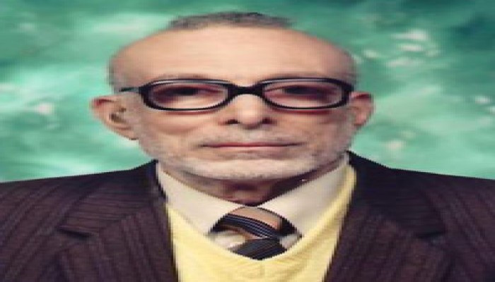 دولتنا مدنية بمرجعية إسلامية