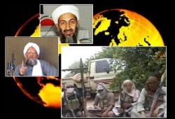 القاعدة بعد اغتيال بن لادن.. التنظيم أم القيادة؟