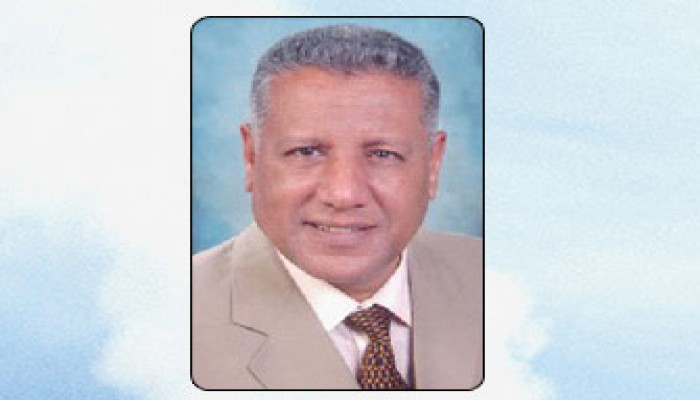 الدولة الديمقراطية