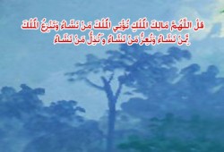 اقتران السنن الكونية بالسنن الاجتماعية.. حكم وأسرار