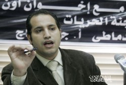 دولة القانون والمؤسسات