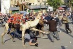 عفوًا.. خدمة عذبني شكرًا قد انتهت
