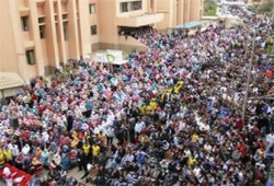 احتفالات طلابية بالثورة في المنوفية ودمياط