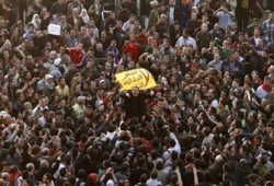 إلى المترددين.. تعلموا من الجاموس!