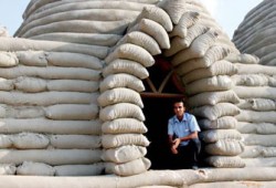 "الكريستيان ساينس مونيتور": هندسة "غزة" تهزم الحصار