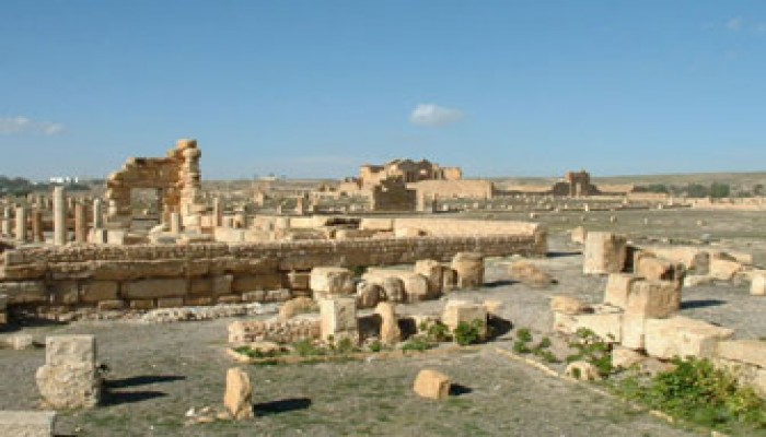 اتحاد الأثريين العرب يطمئن على "آثار" تونس