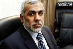 اليوم.. نظر استئناف د. محيي حامد وإخوانه