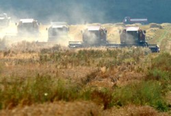 صحف العالم: أزمة الغذاء تهدد الاستقرار