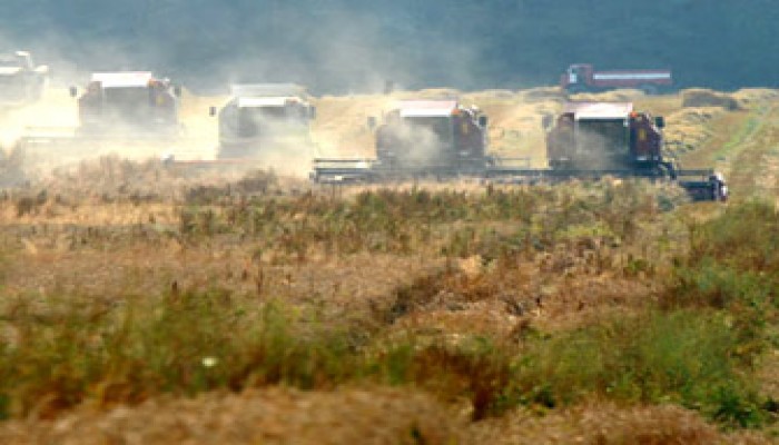 صحف العالم: أزمة الغذاء تهدد الاستقرار