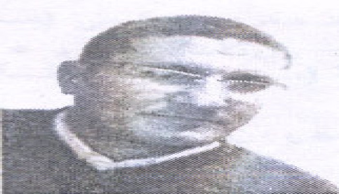 الجواد المتعب