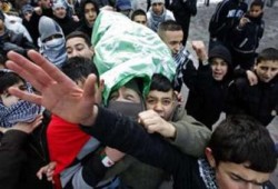 عائلات الشهداء بغزة.. ذكريات الدم والدمار