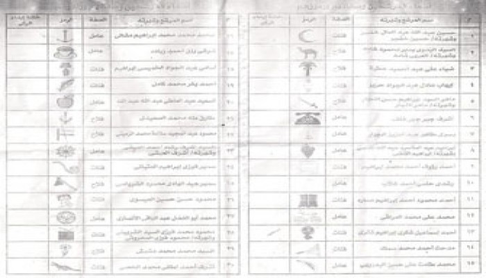 "نزيهة".. فيلم وثائقي يفضح تزوير انتخابات الدقهلية