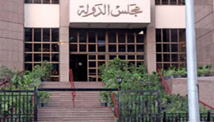 نائب رئيس مجلس الدولة: مجلس الشعب الجديد باطل