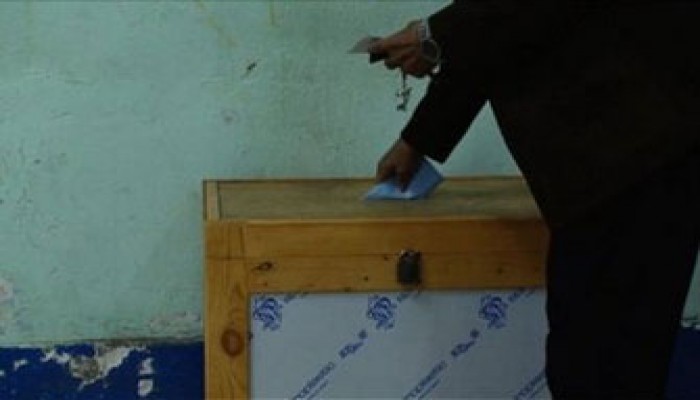 رؤساء لجان يعترفون بتزوير انتخابات بنها