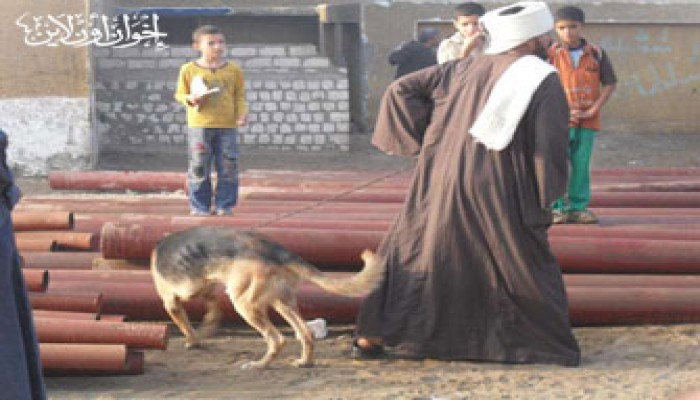 حبس بلطجي "الوطني" ببني سويف 4 أيام