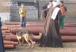 بلطجية "الوطني" يطلقون النار على أنصار الديب بالواسطى