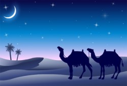 الشعراء يحتفلون بالهجرة في بيت الأمة