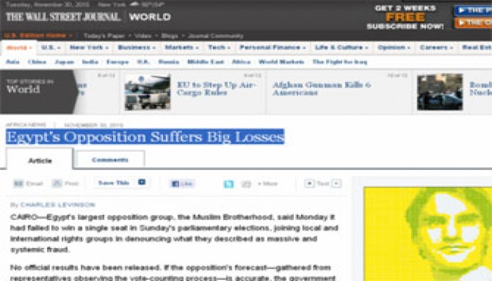 الـ"وول ستريت جورنال": الحكومة المصرية لم تُجر انتخابات