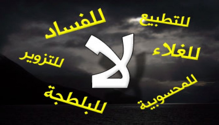 أرقام قيد مكررة في كشوف الناخبين بالمنيل!