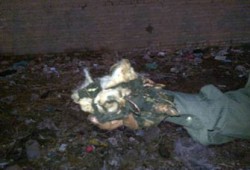 وطني بني سويف يحرق بيوت أنصار مرشح الإخوان!