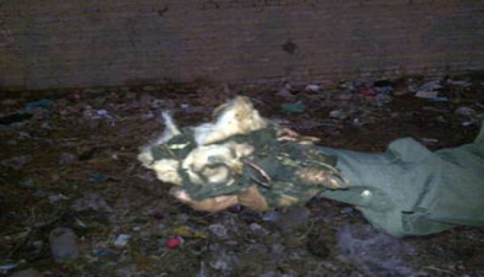 وطني بني سويف يحرق بيوت أنصار مرشح الإخوان!