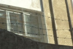 بالصور.. الأسلاك الشائكة لمنع الناخبين بالدقهلية!