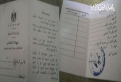 بطاقات دوَّارة لتزوير انتخابات الإسكندرية