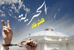 الإفراج عن 31 من أهالي "الميمون" ببني سويف