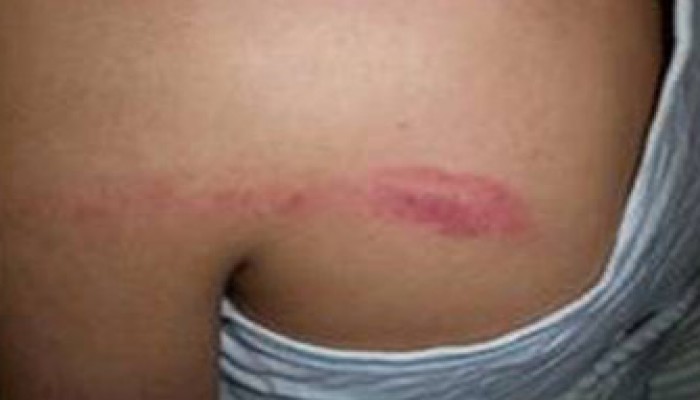 اعتقال طالبين بالمنوفية ذهبا لتقديم بلاغ عن ضربهما