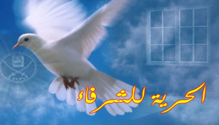 جنح أسوان ترفض استئناف معتقلي الإخوان!