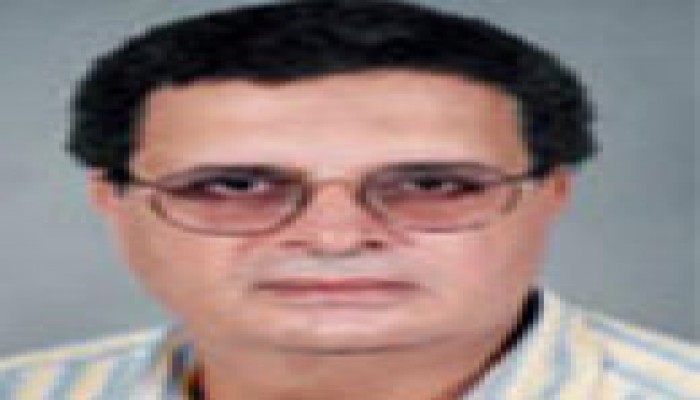 المستفيدون من تزوير انتخابات مصر