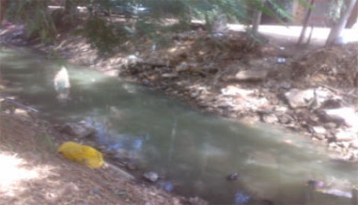 نجاح جهود النائب قطب لتغطية ترعة شها بالدقهلية