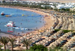 برلمانيون يطالبون بإصدار قانون لحماية أراضي سيناء