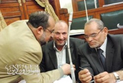 جهود متميزة لنواب المنوفية في مجال الزراعة