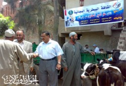 قافلتان بيطريتان لنائب بسيون