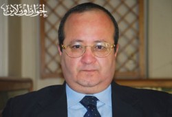 أسطول الحرية ومستقبل المقاومة الإسلامية