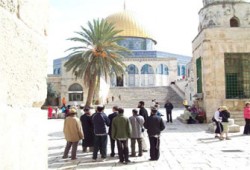 متطرفون صهاينة يعتدون على مسجد بحيفا